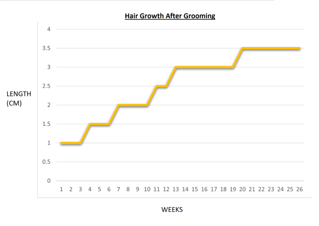 How long does it take for dog hair to grow back 